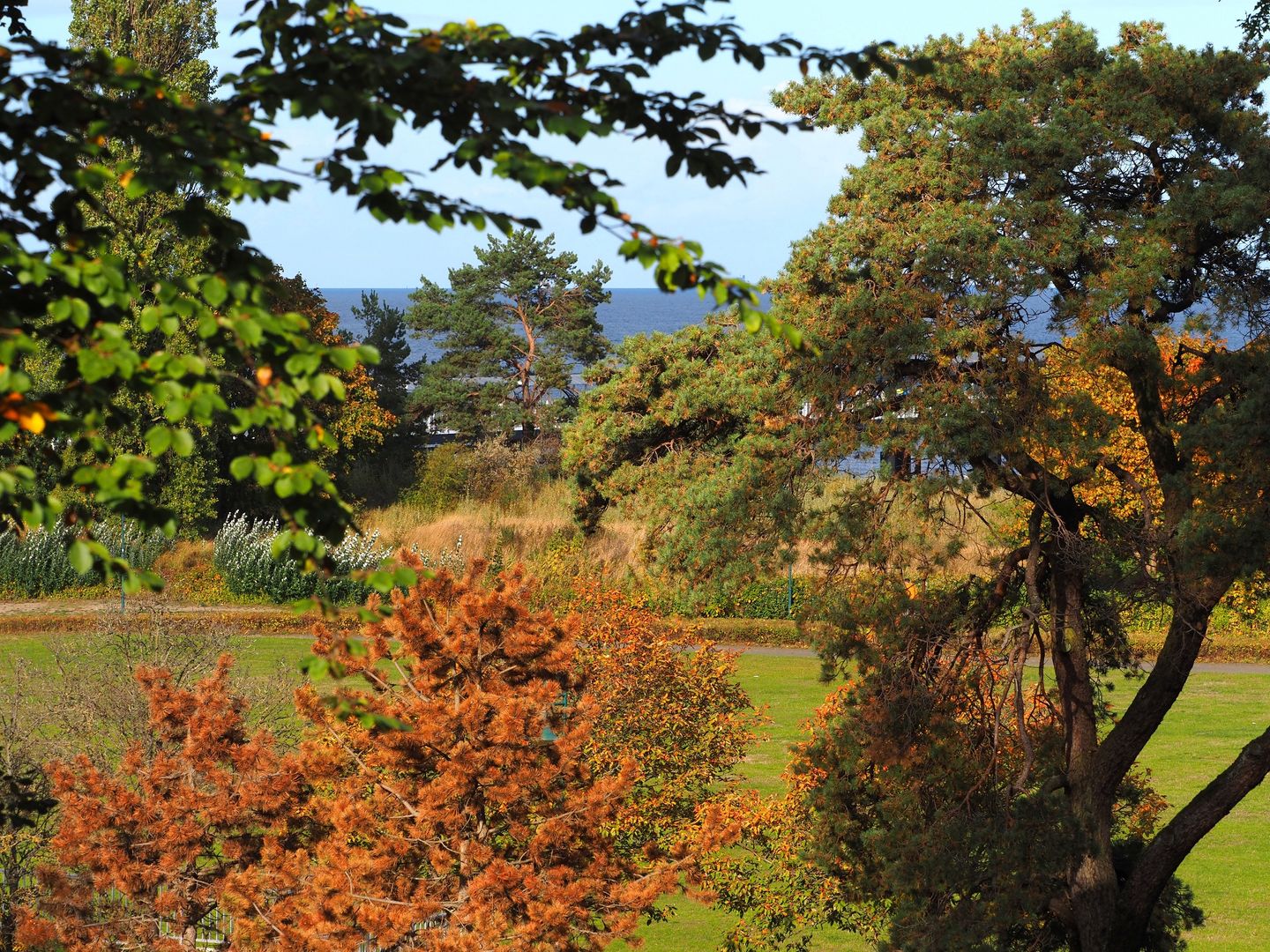 Kaiservillen Heringsdorf Ferienwohnung mit 1 Schlafzimmer und Balkon (D211) Insel Usedom - Gartenblick