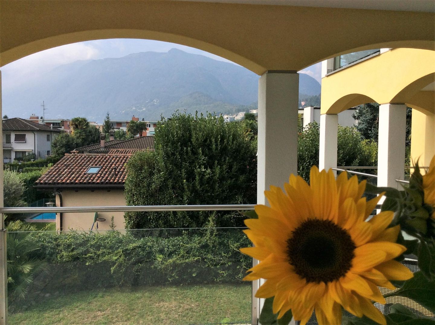 Picture 16 Picture 16