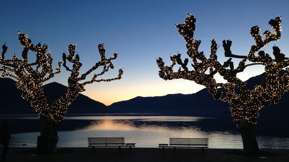 Picture 28 Picture 28