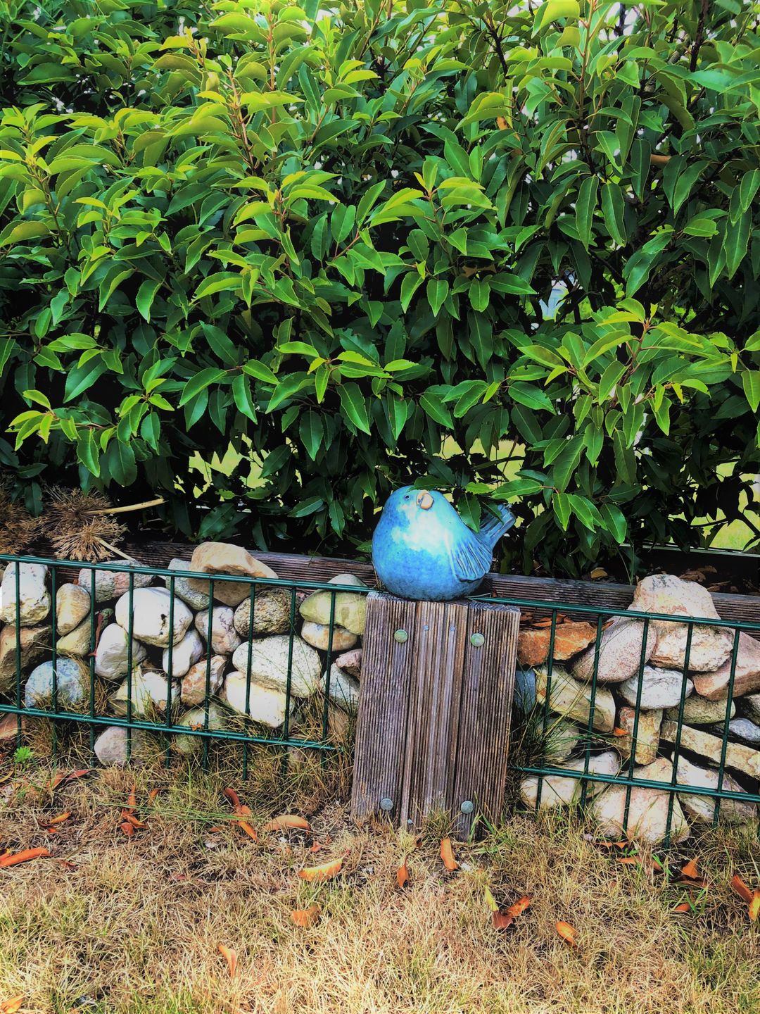  Ferienwohnung KWi 79 EG "Seeschwalbe im Küstenwald" Graal-Müritz Küstenwald - Terrasse