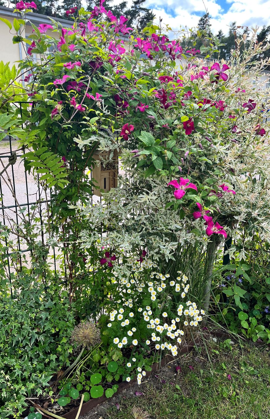  Ferienwohnung KWi 79 EG "Seeschwalbe im Küstenwald" Graal-Müritz Küstenwald - Terrasse