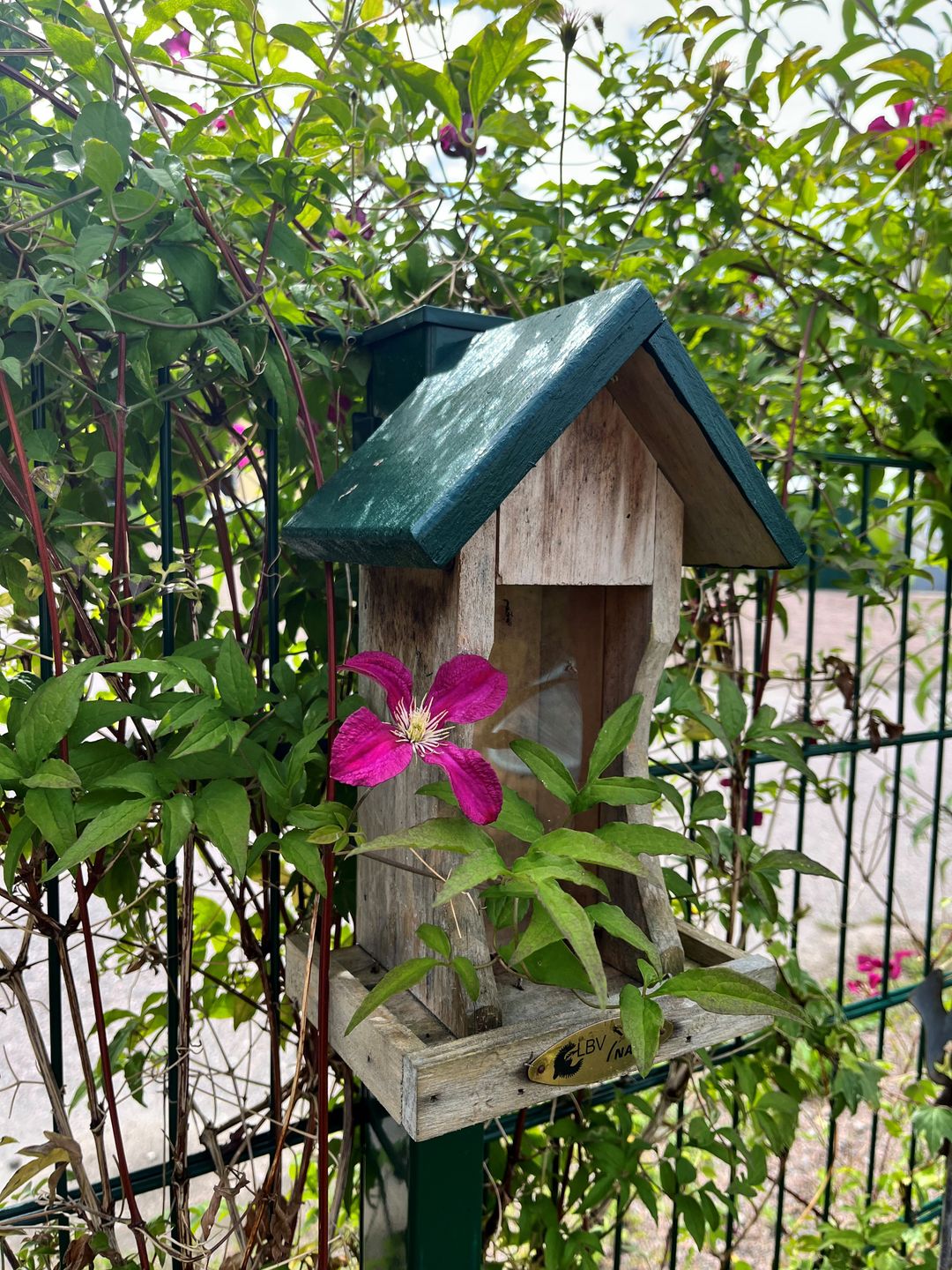  Ferienwohnung KWi 79 EG "Seeschwalbe im Küstenwald" Graal-Müritz Küstenwald - Terrasse