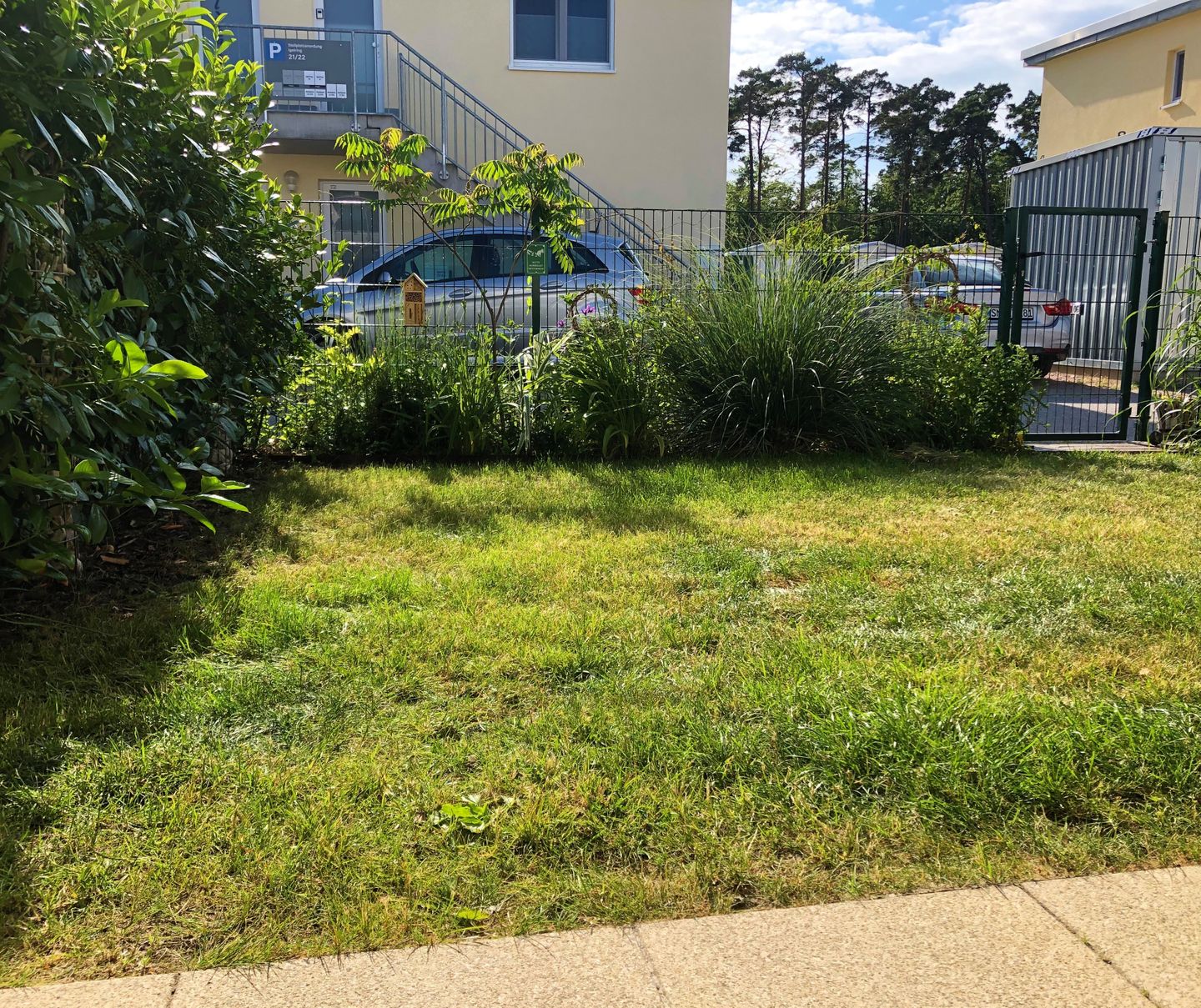  Ferienwohnung KWi 81 EG "Seeschnecke im Küstenwald" Graal-Müritz Küstenwald - Terrasse