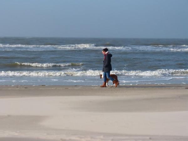 Urlaub auf der Nordseeinsel mit dem Hund