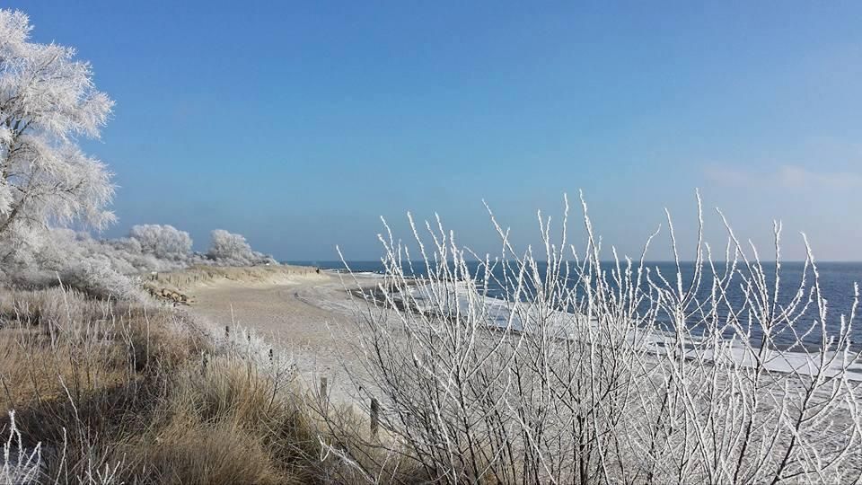 Pelzerhaken im Winter