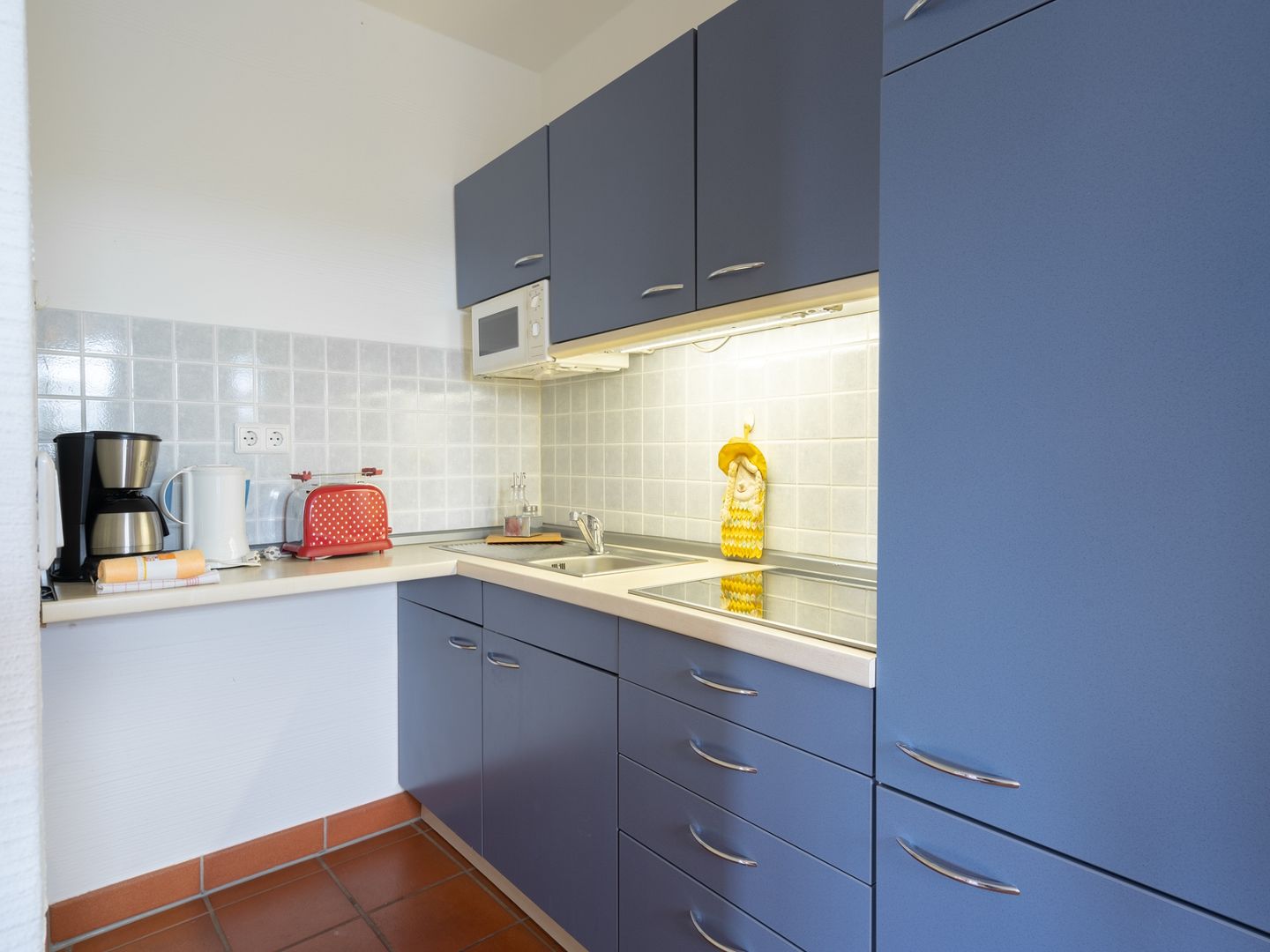 Feriendorf Rugana Klassik Ferienwohnung mit 1 Schlafzimmer (D15) Insel Rügen - Küche / Küchenzeile