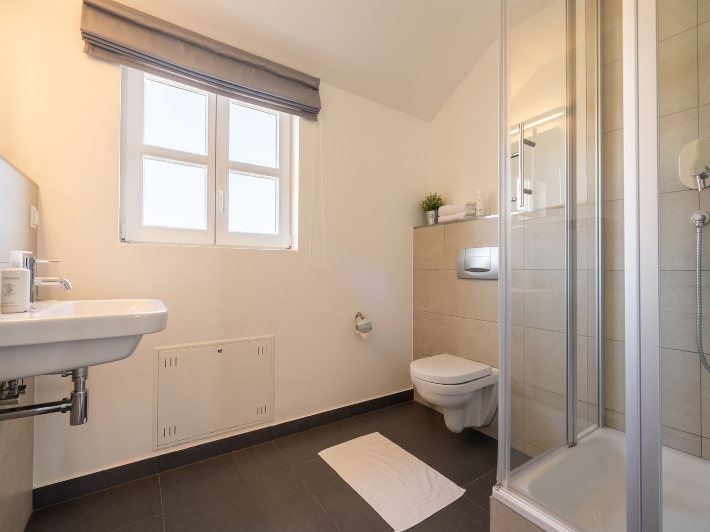 Feriendorf Rugana Komfortplus Ferienwohnung mit 1 Schlafzimmer (D38) Insel Rügen - Badezimmer