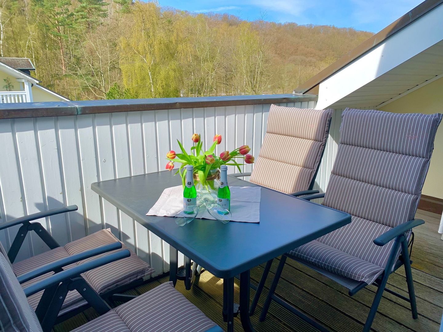 Dünenpark Binz Komfort Ferienwohnung mit 2 Schlafzimmern und Balkon im Dachgeschoss (069) Insel Rügen - Balkon