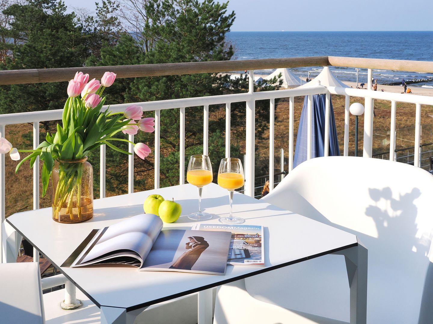 Kaiservillen Heringsdorf 1-Raum-Ferienwohnung mit Balkon zur Seeseite (S11) Insel Usedom - Balkon