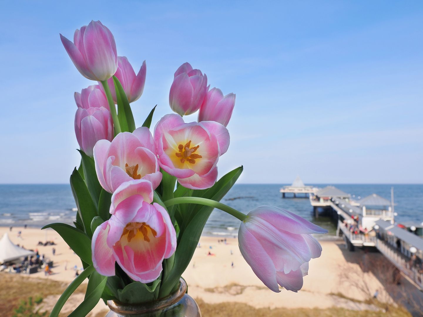 Kaiservillen Heringsdorf Ferienwohnung mit 1 Schlafzimmer und Balkon zur Seeseite (S15) Insel Usedom - Meerblick