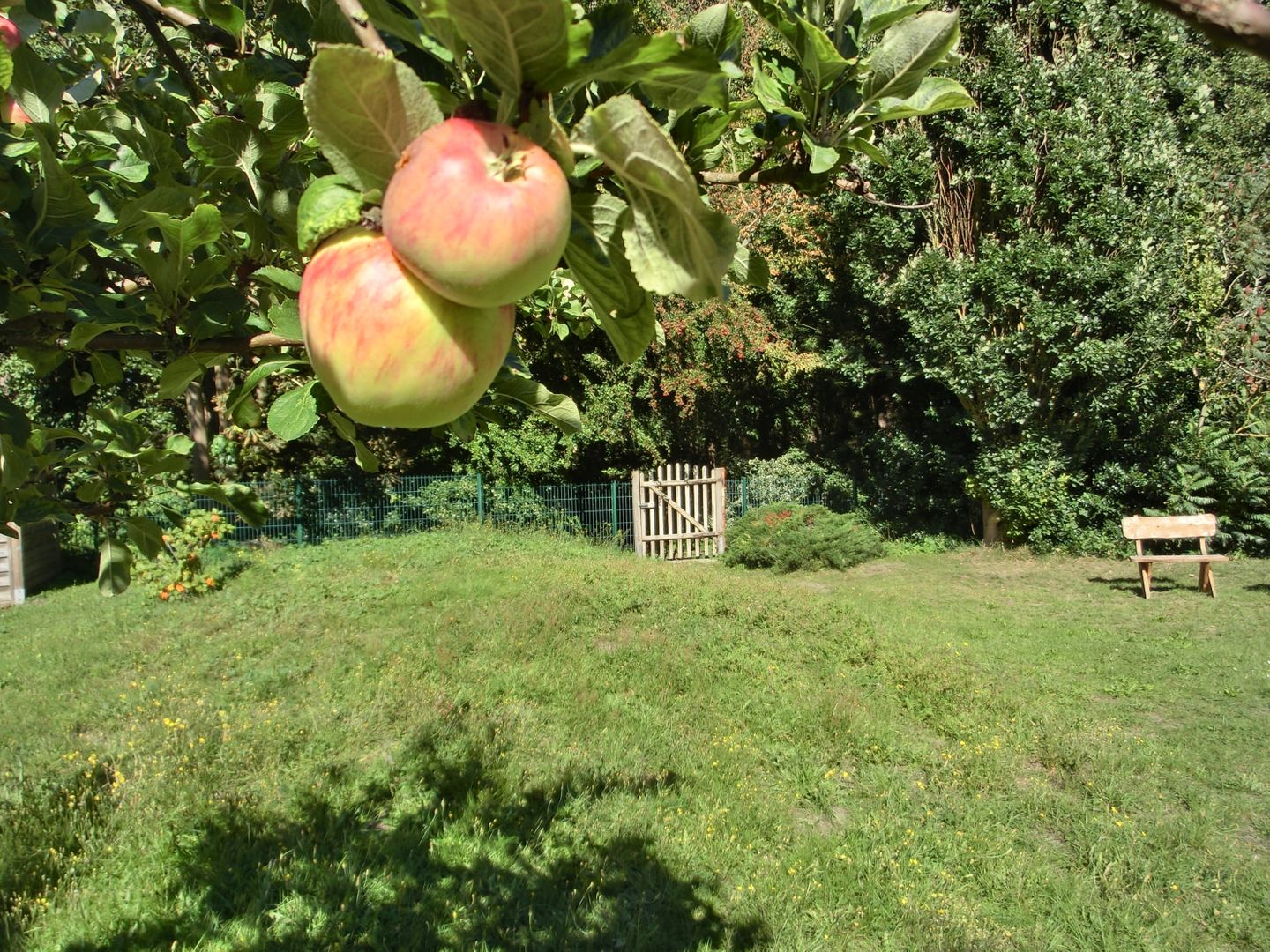  Ferienwohnung S13 Graal-Müritz - Gartenblick