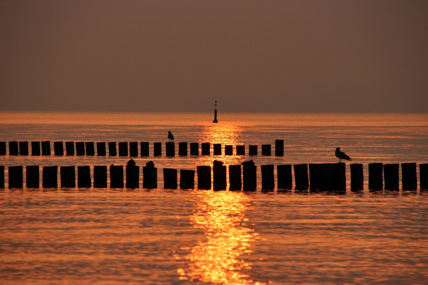  Ferienwohnung G7 Graal-Müritz - Strand