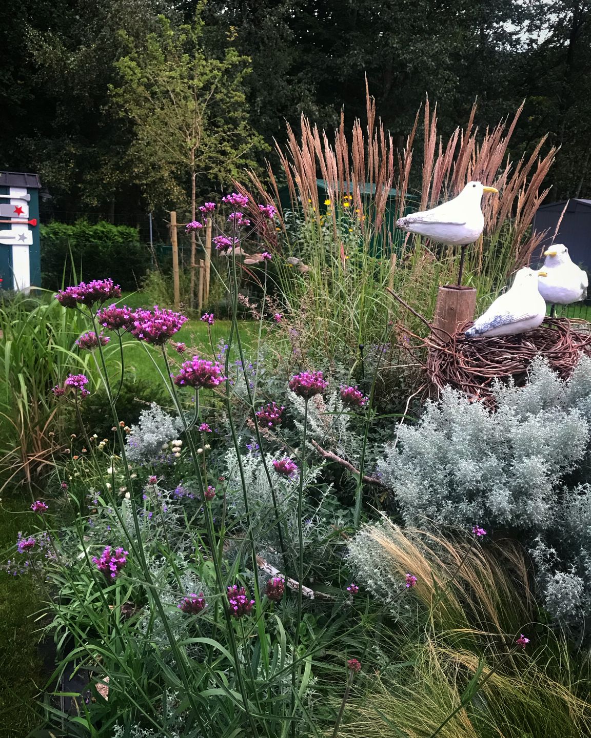  Ferienwohnung KWi 36 EG "Rauchschwalbe" Graal-Müritz Küstenwald - Terrasse