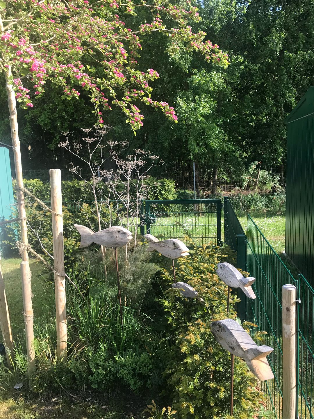  Ferienwohnung KWi 36 EG "Rauchschwalbe" Graal-Müritz Küstenwald - Terrasse