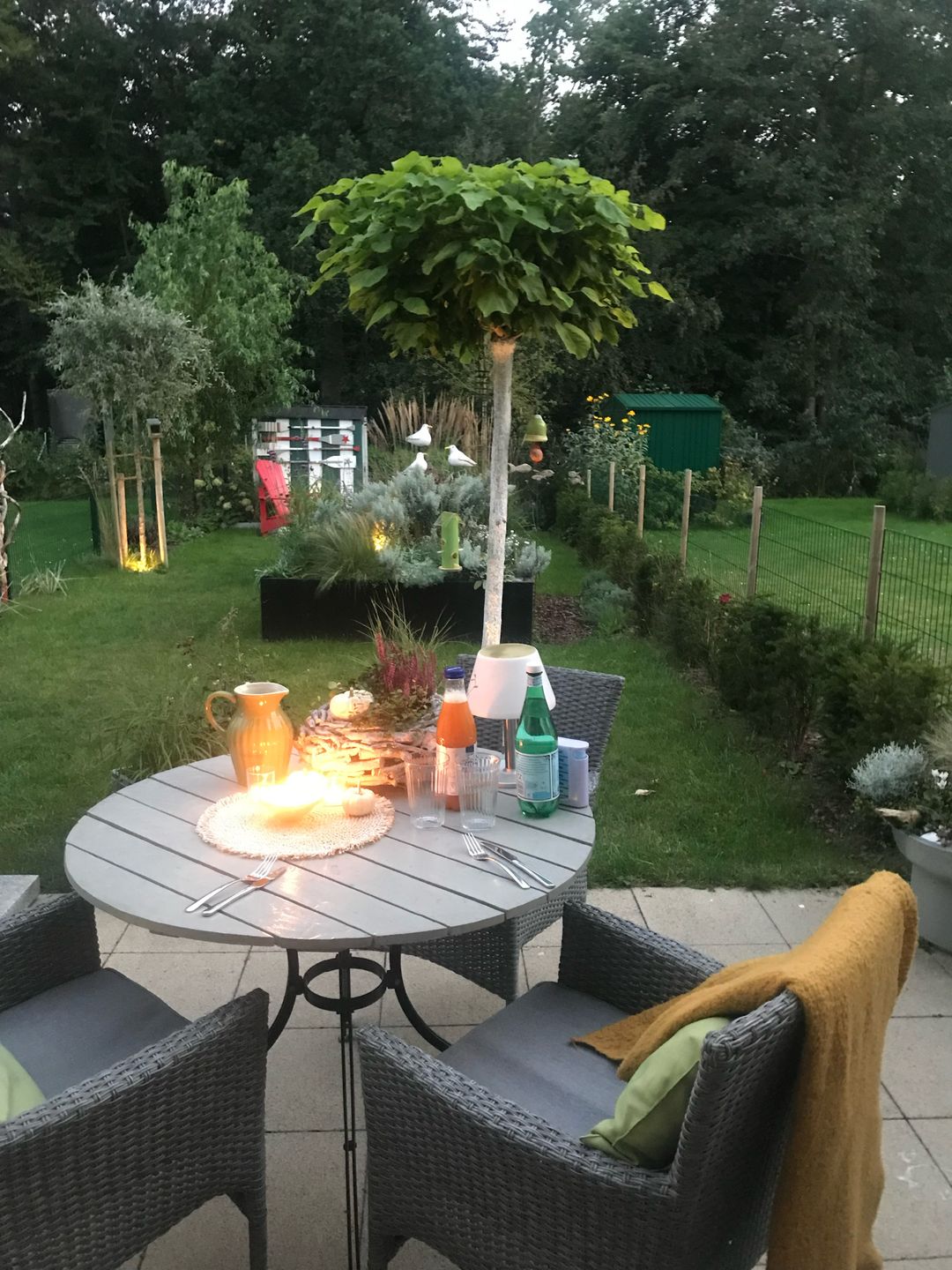  Ferienwohnung KWi 36 EG "Rauchschwalbe" Graal-Müritz Küstenwald - Gartenblick