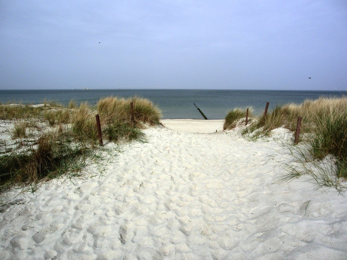 Markgrafenheide Ferienhaus MH4 - "Strandhaus" Markgrafenheide - Strand