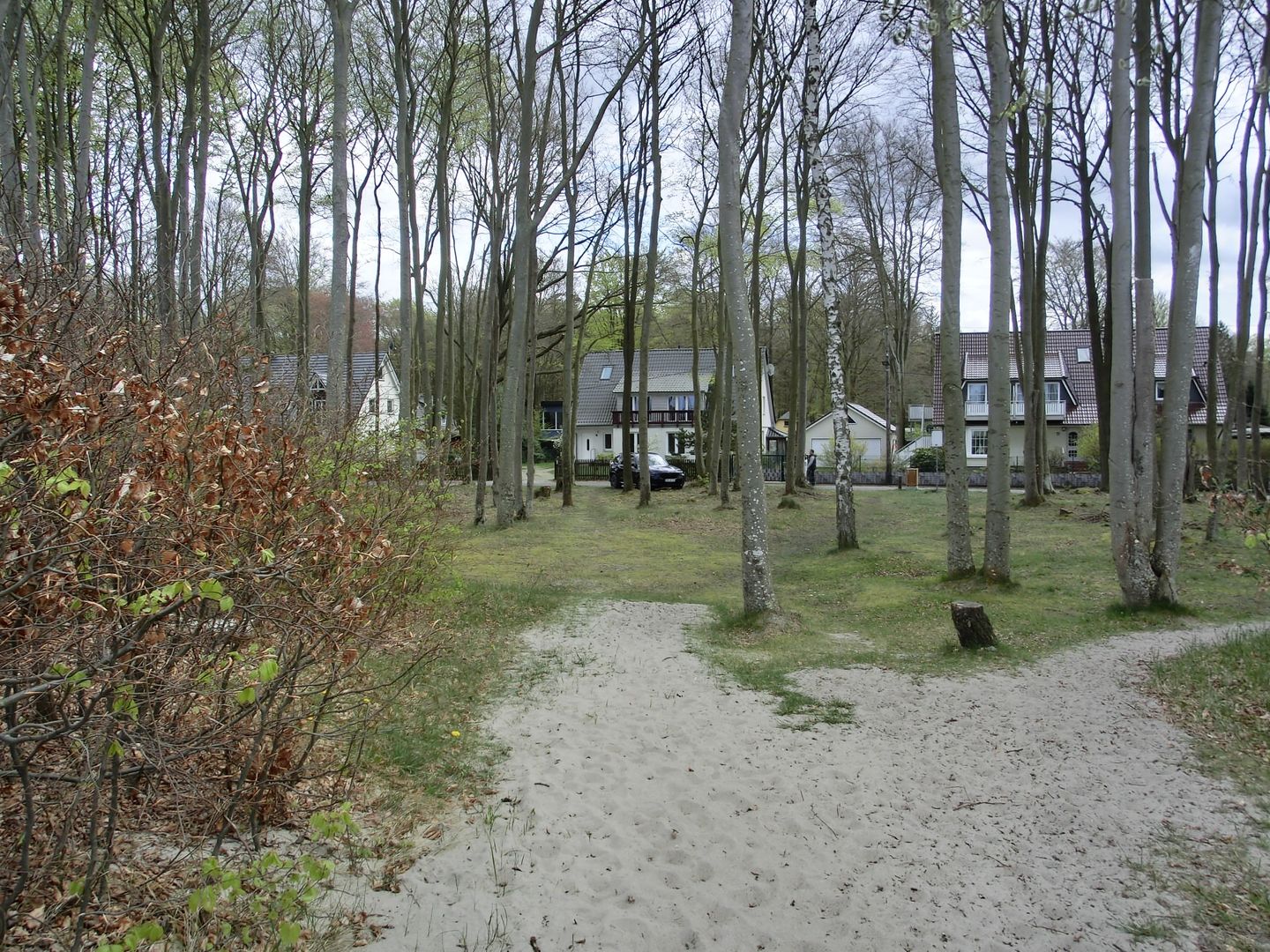  Ferienwohnung ZU1 "Möwennest" Graal-Müritz - Meerblick