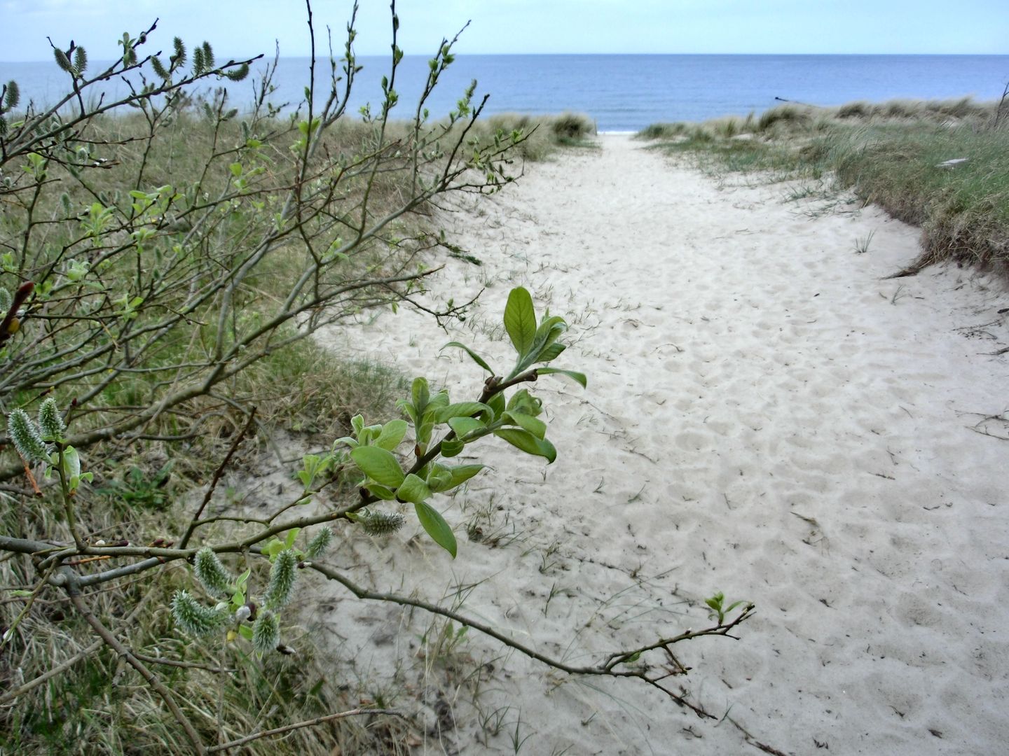  Ferienwohnung ZU3 "Windsänger" Graal-Müritz - Strand