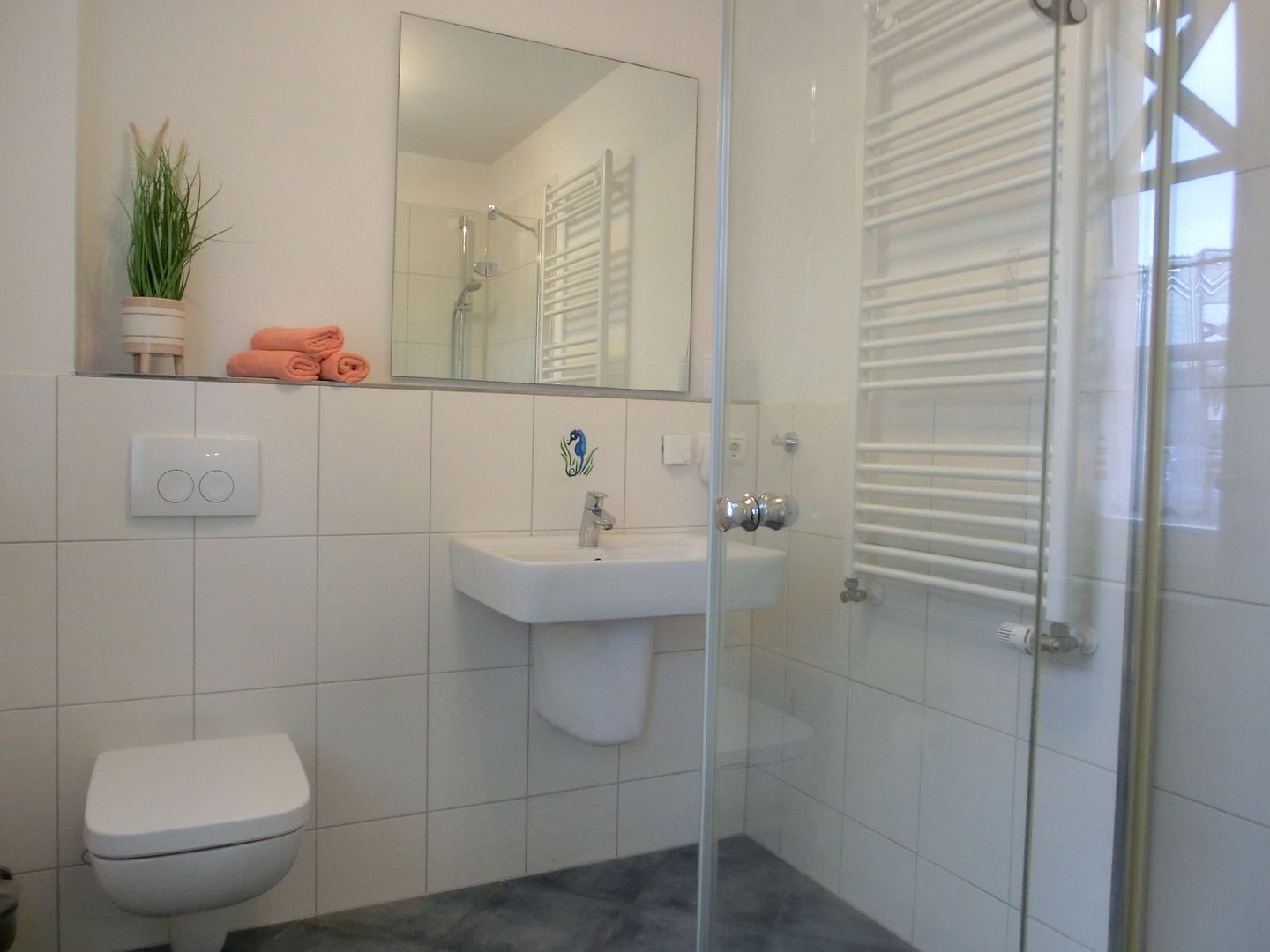  Ferienhaus FH17b Graal-Müritz - Badezimmer