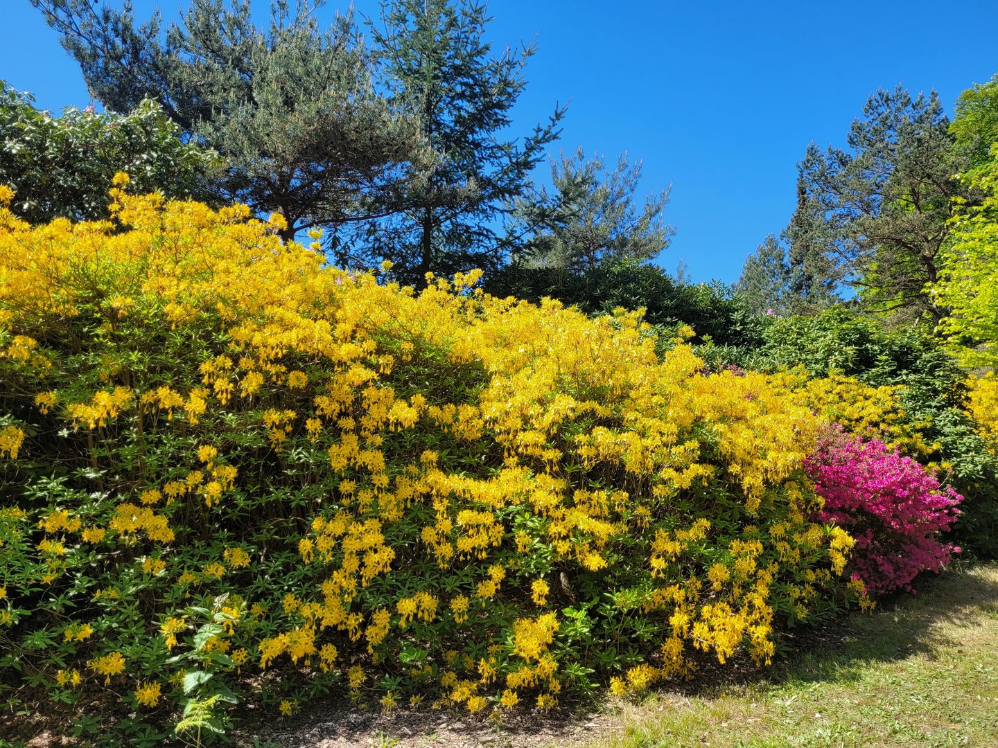  Ferienwohnung KWi 09 OG "Ostseezauber" Graal-Müritz Küstenwald - Landschaft