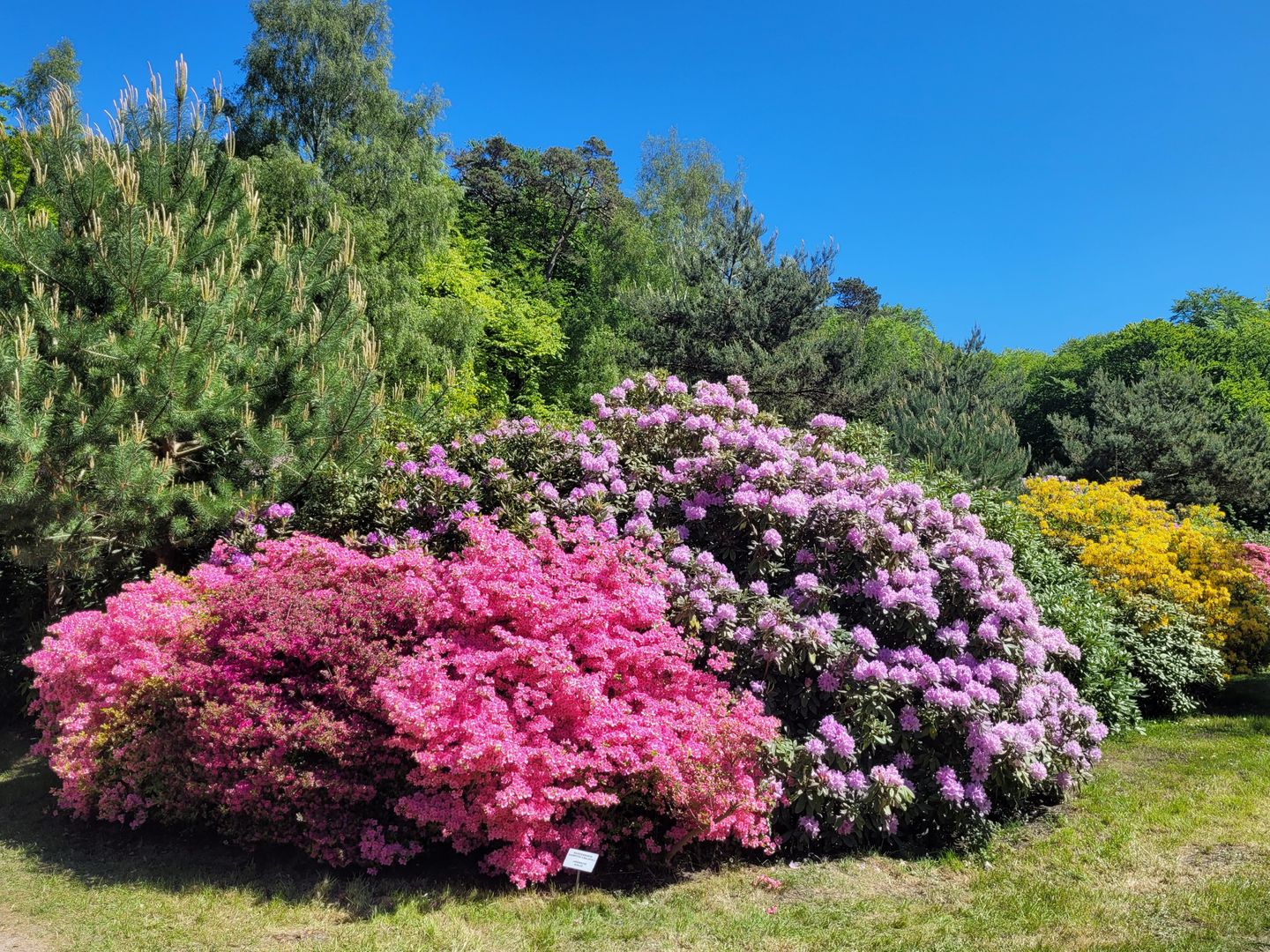  Ferienwohnung KWi 09 OG "Ostseezauber" Graal-Müritz Küstenwald - Landschaft