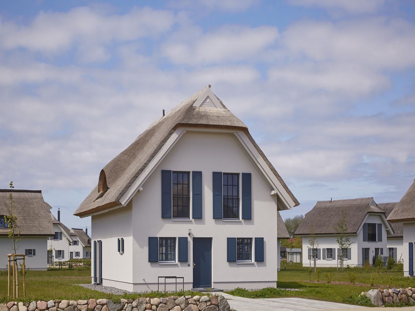 Luxus Reetdachvilla mit 3 Schlafzimmern, Sauna und Kamin (F08) - Hauptansicht