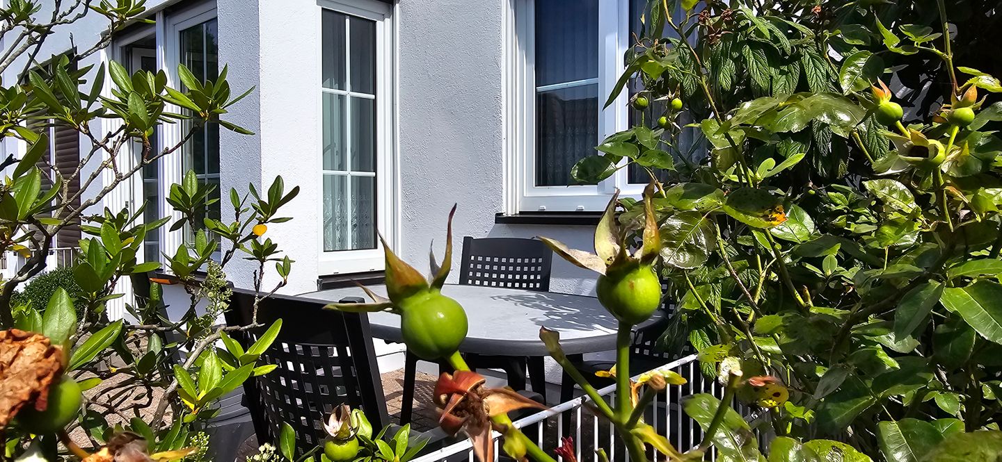  Ferienwohnung P1 Graal-Müritz - Terrasse