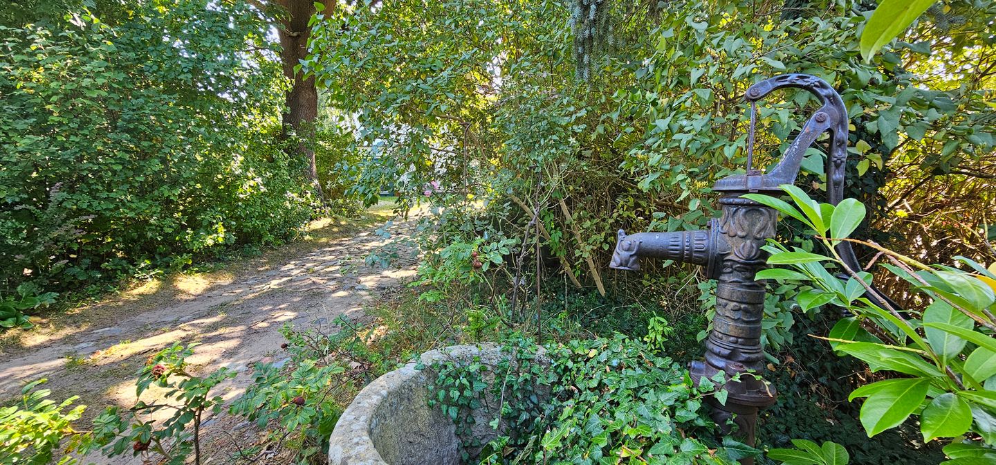  F.-Haus FH10 "Die Alte Mühle" Graal-Müritz - Garten