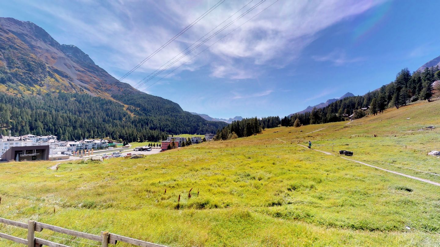 Picture 15 Picture 15