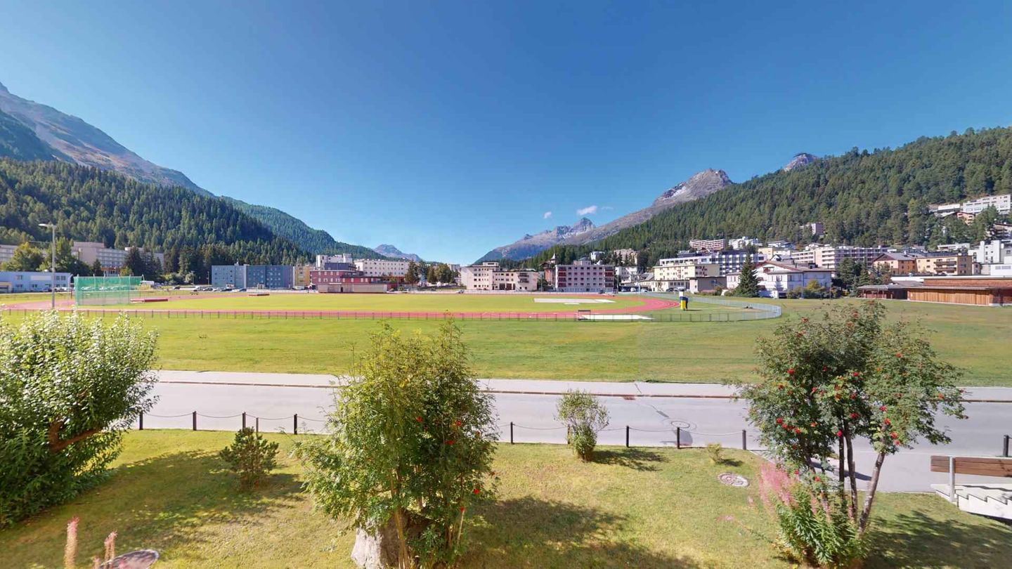 Picture 11 Picture 11