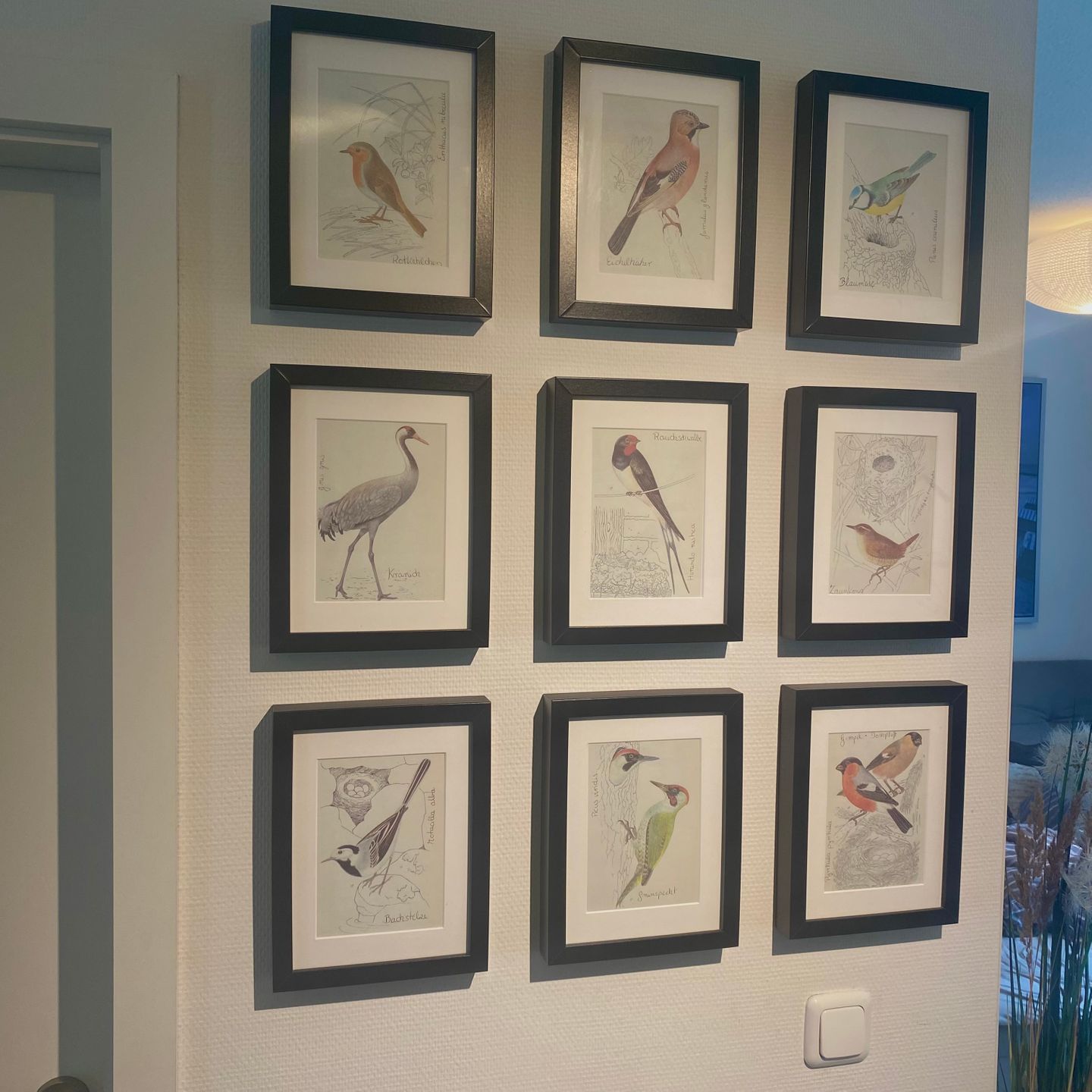  Ferienwohnung KWi 36 EG "Rauchschwalbe" Graal-Müritz Küstenwald - Dekoratives Detail