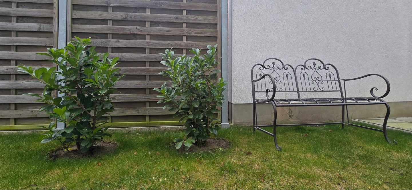  Ferienhaus FH T 1h - "Hygge Hus" Graal-Müritz - Terrasse