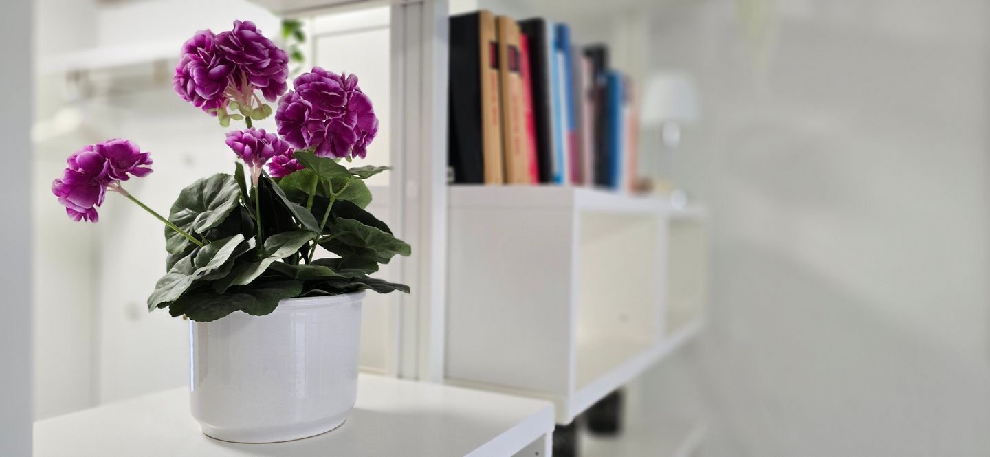  Ferienwohnung KWU 4 EG - "Schatulle" Graal-Müritz Küstenwald - Wohnzimmer