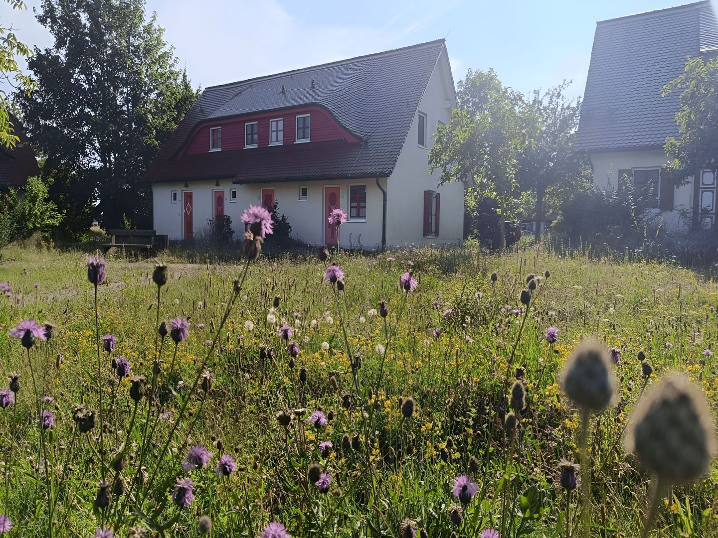 Feriendorf Rugana Klassik Ferienwohnung mit 1 Schlafzimmer und Terrasse (B56) Insel Rügen - Hauptansicht