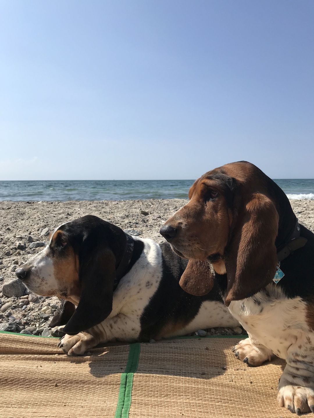  Ferienwohnung KWE 32EG Graal-Müritz Küstenwald - Meerblick