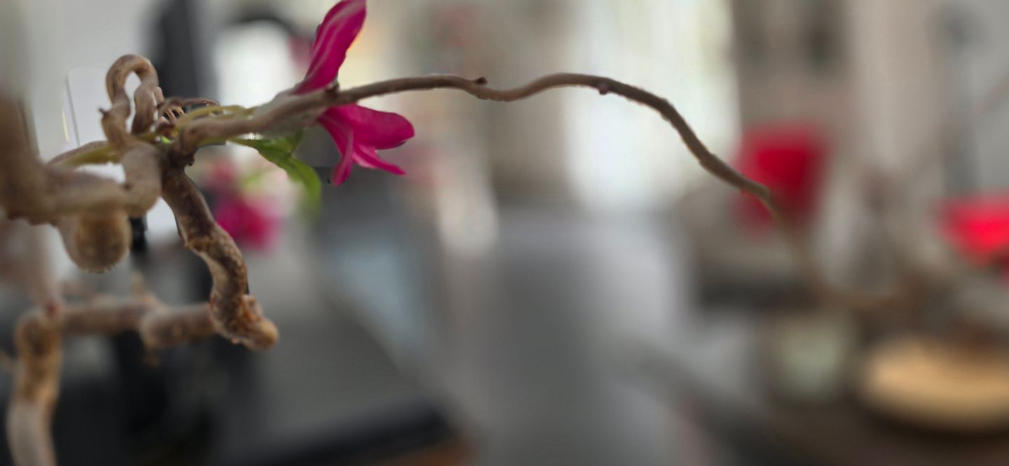  Ferienwohnung W14.1.S Graal-Müritz - Dekoratives Detail