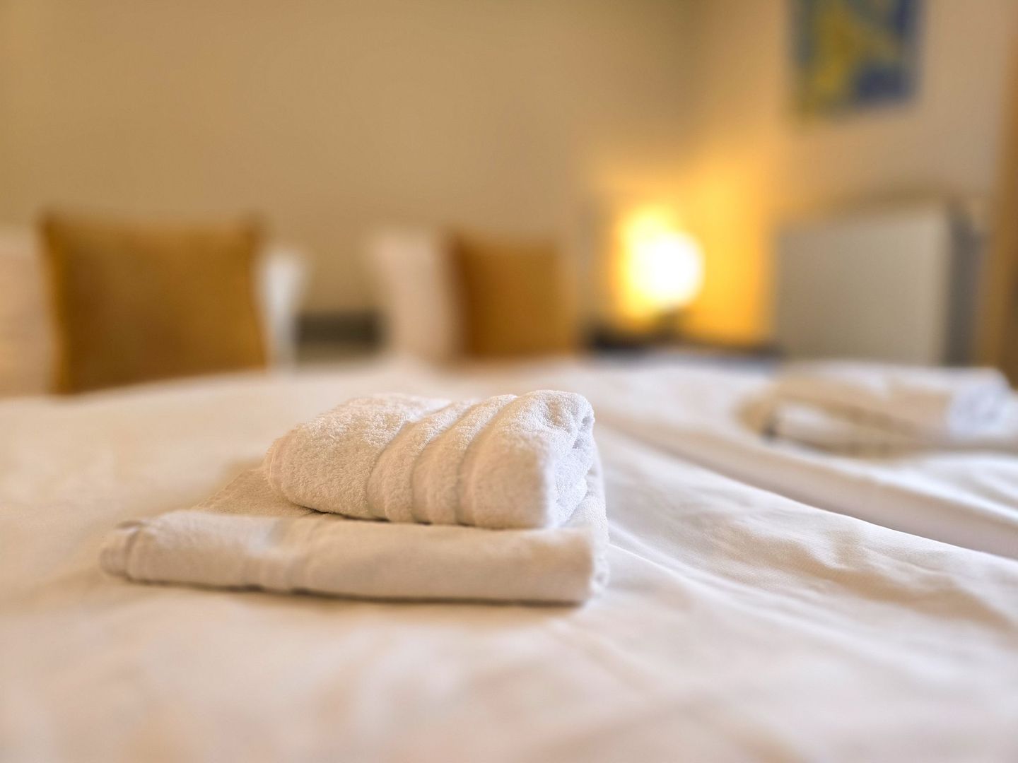 Feriendorf Rugana Komfortplus 1-Raum Ferienwohnung mit Terrasse (C47) Insel Rügen - Bett