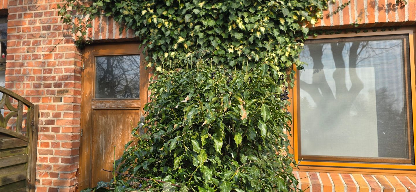  Ferienwohnung NH5 Hirschburg - Fassade / Eingang