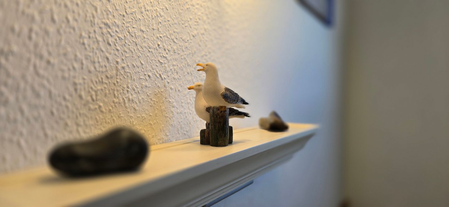  Ferienwohnung G6 "Strandluft" Graal-Müritz - Dekoratives Detail