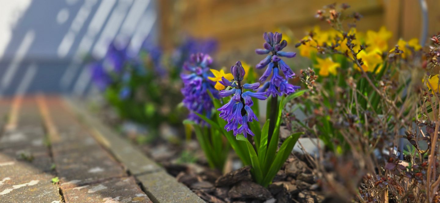  Ferienwohnung G6 "Strandluft" Graal-Müritz - Dekoratives Detail