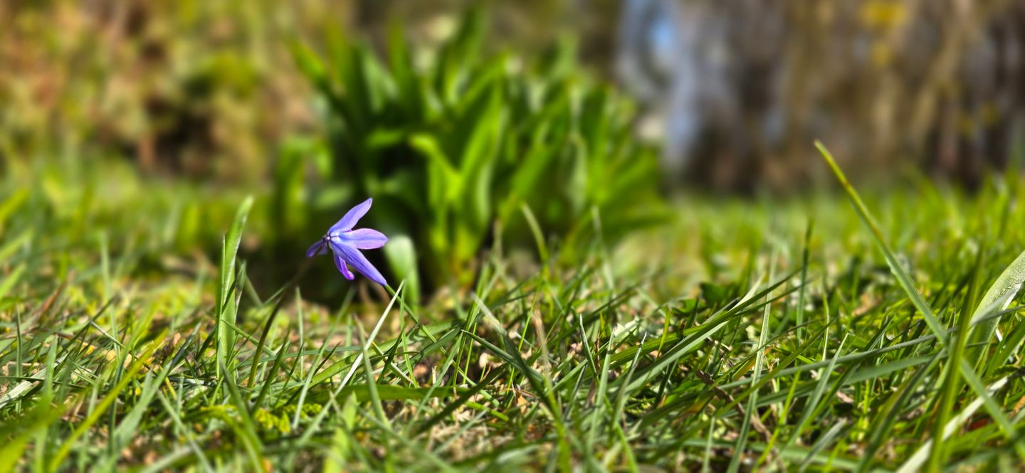  Ferienwohnung E4 Graal-Müritz - Dekoratives Detail