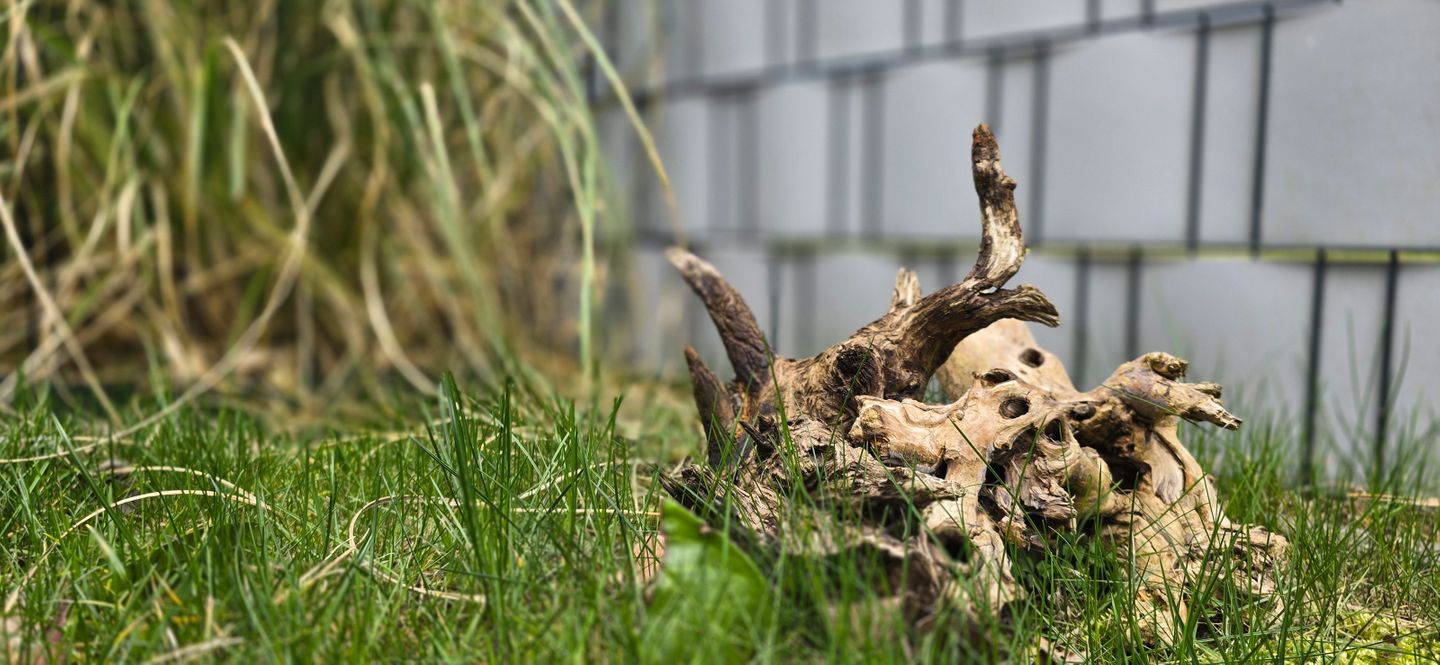  Ferienwohnung E1 Graal-Müritz - Dekoratives Detail