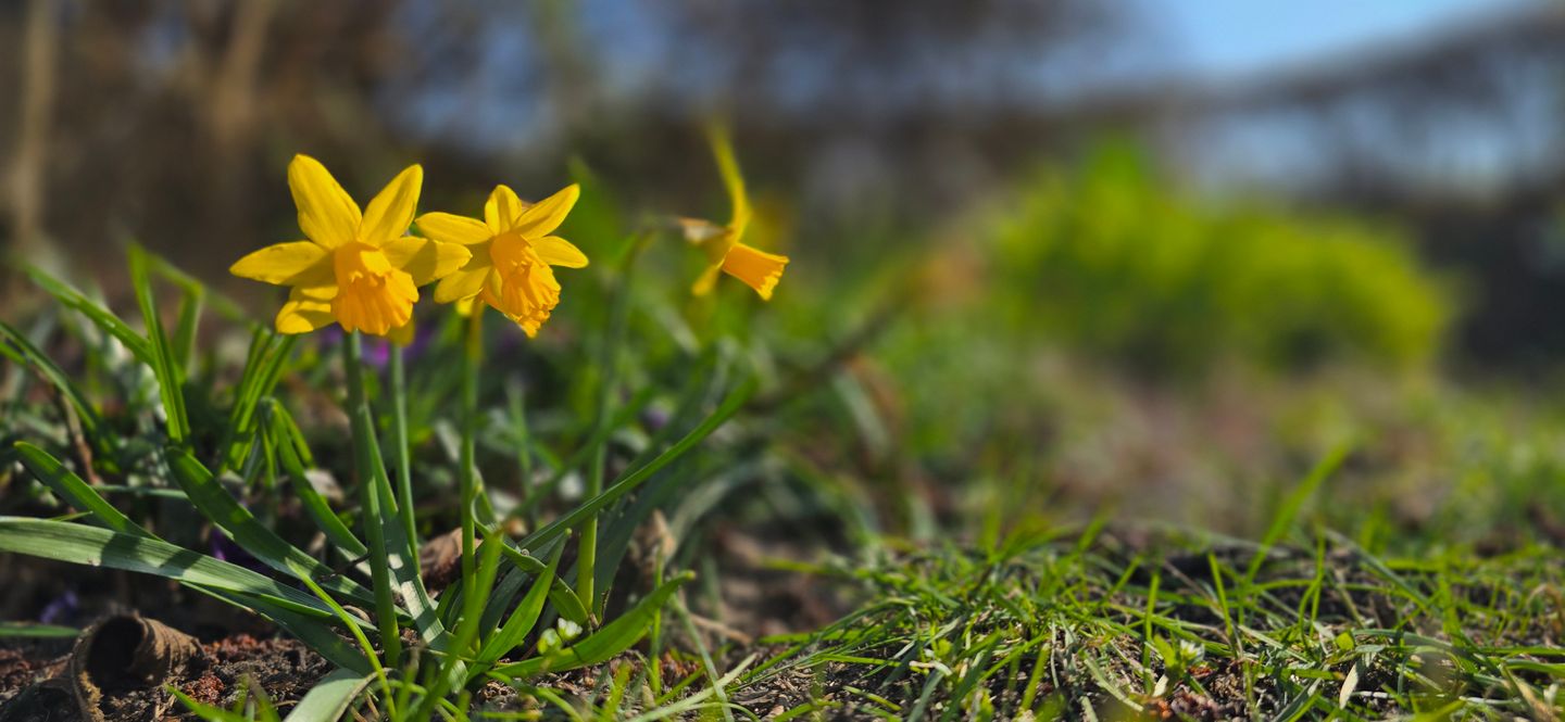  Ferienwohnung R5 Graal-Müritz - Landschaft