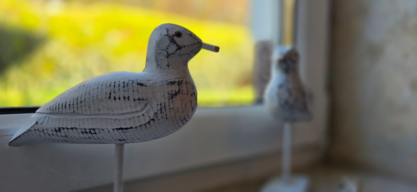  Ferienwohnung R5 Graal-Müritz - Dekoratives Detail