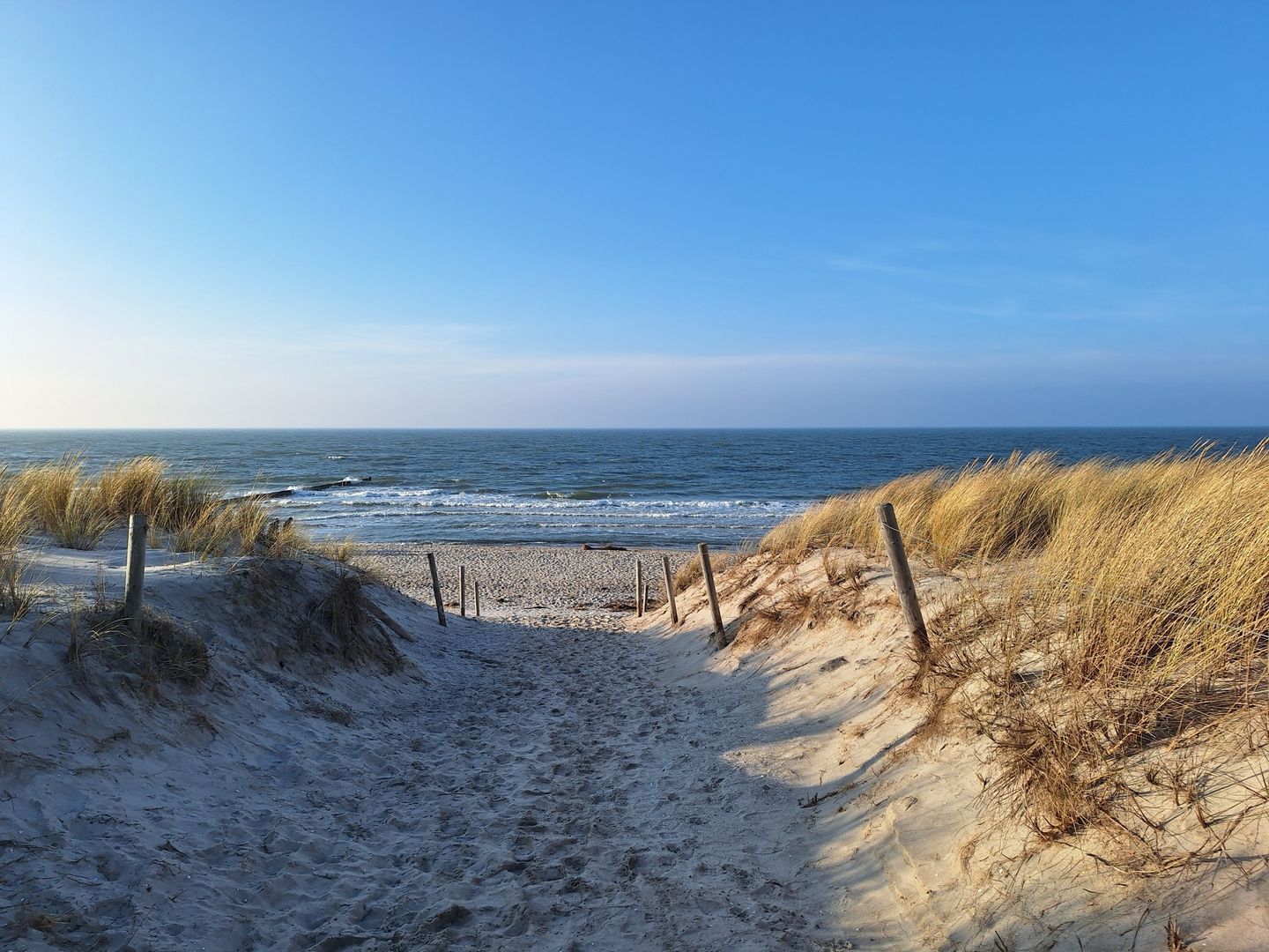  Ferienwohnung D5 Graal-Müritz - 