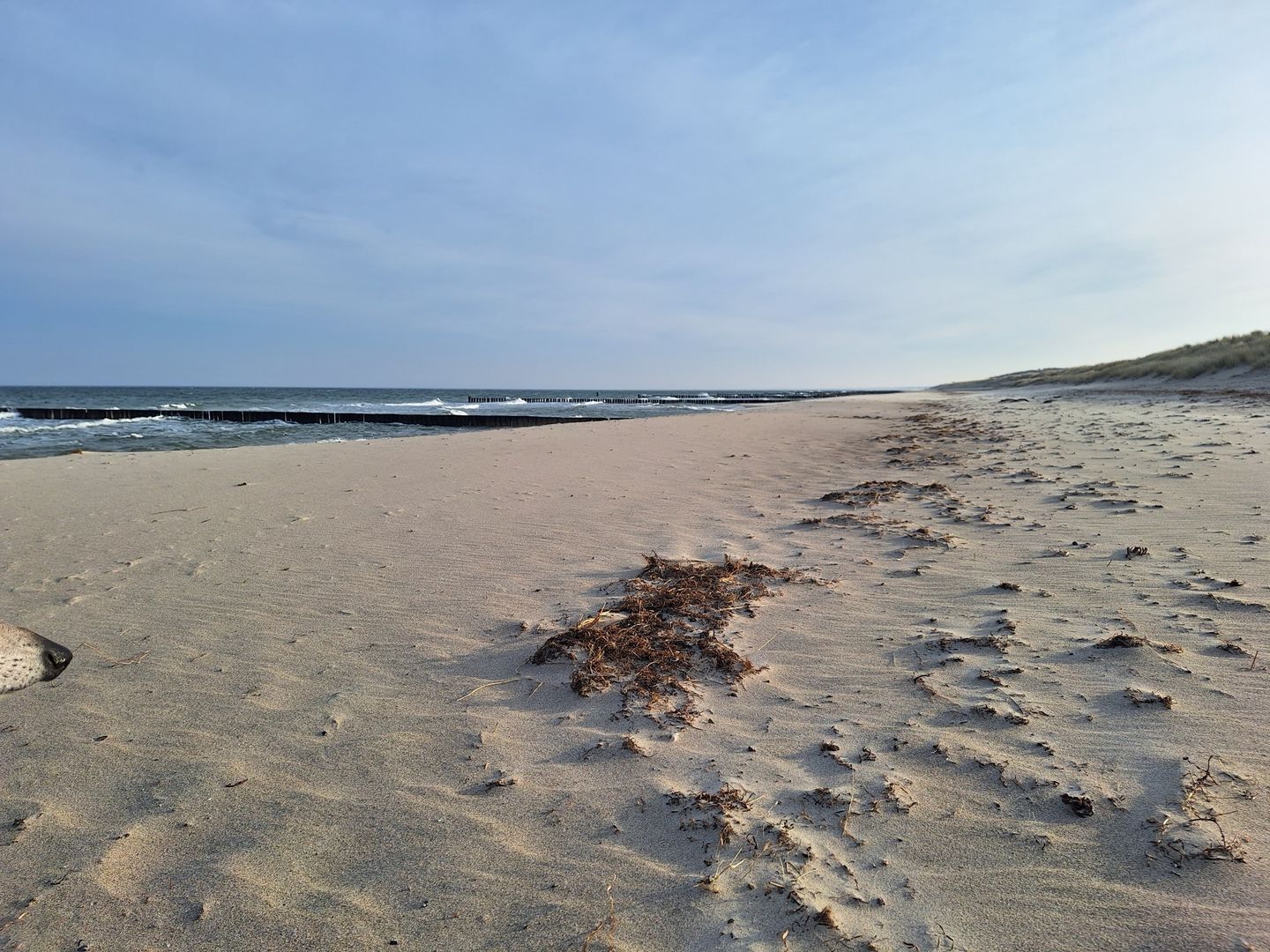  Ferienwohnung D5 Graal-Müritz - 