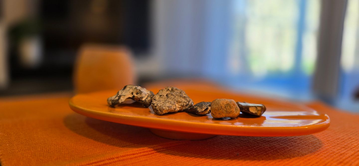  Ferienwohnung LP17 Graal-Müritz - Dekoratives Detail