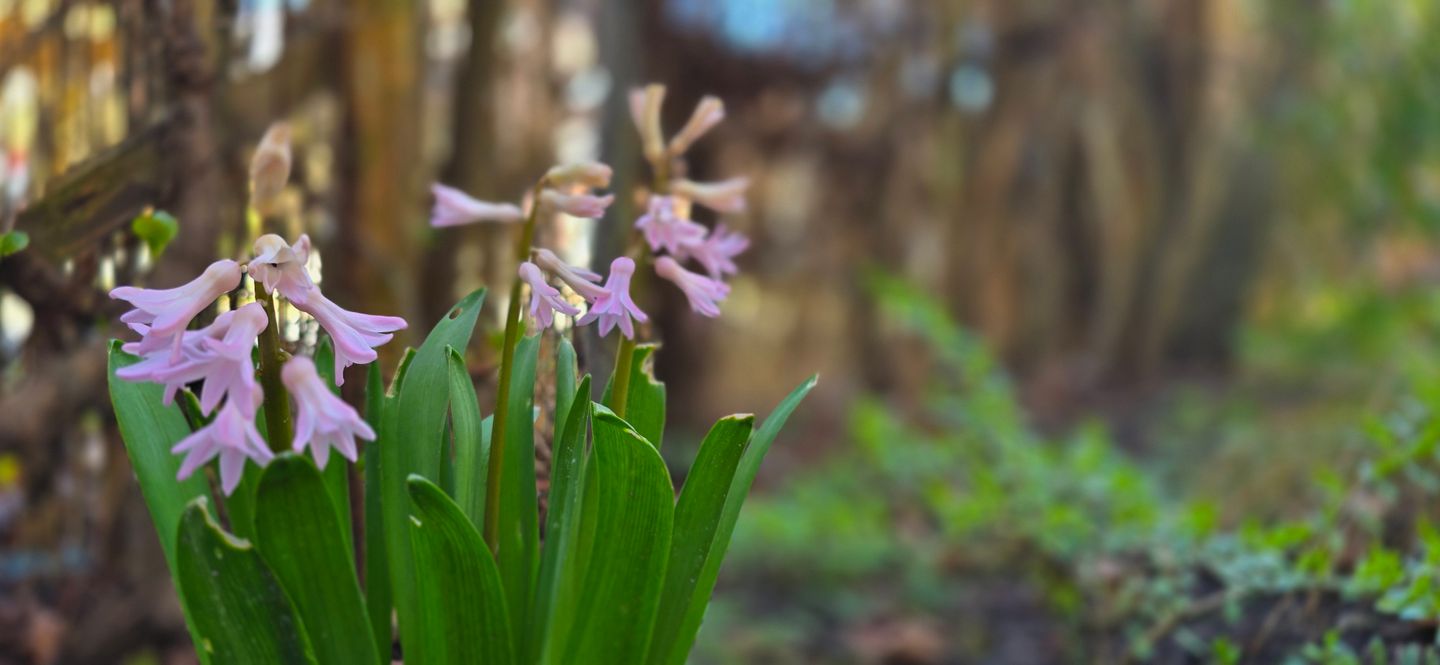  Ferienwohnung L39 Graal-Müritz - Dekoratives Detail