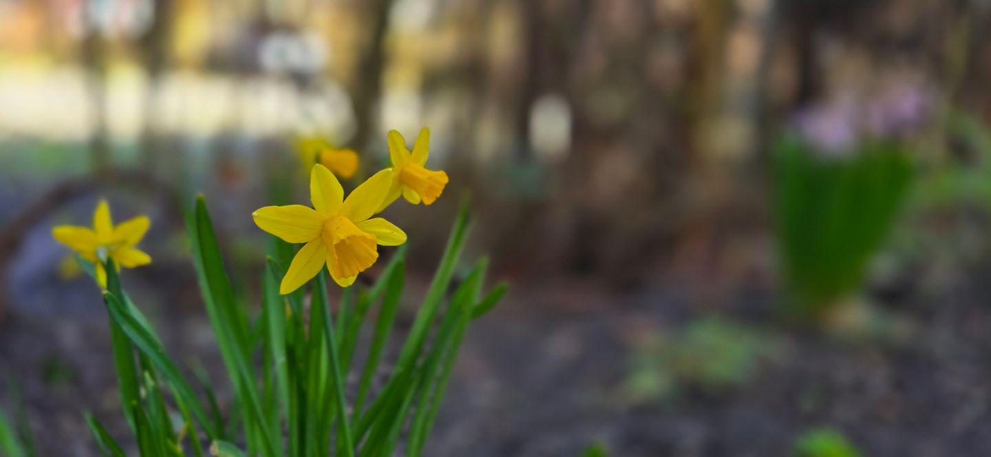  Ferienwohnung L39 Graal-Müritz - Dekoratives Detail