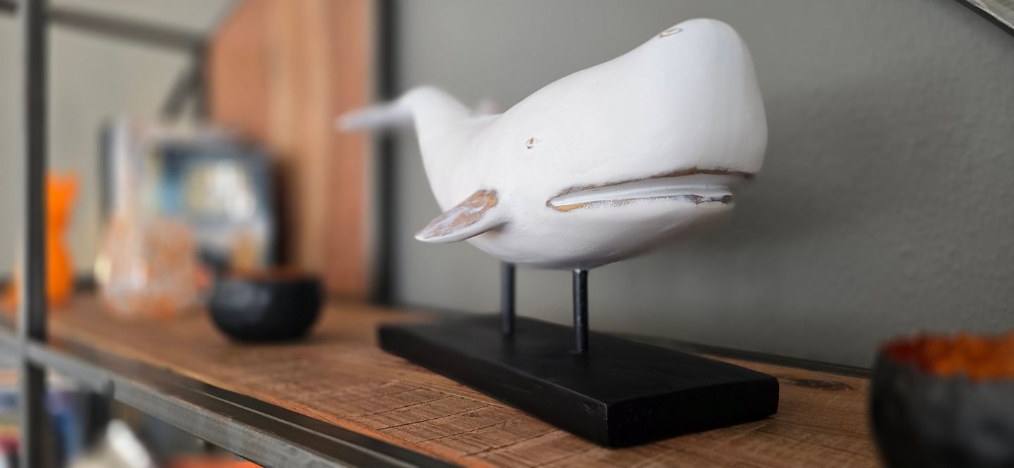  Ferienwohnung P5 Graal-Müritz - Dekoratives Detail